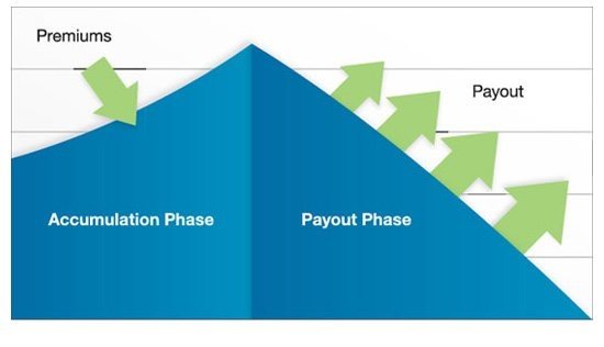 Annuity Phases Bravias Financial